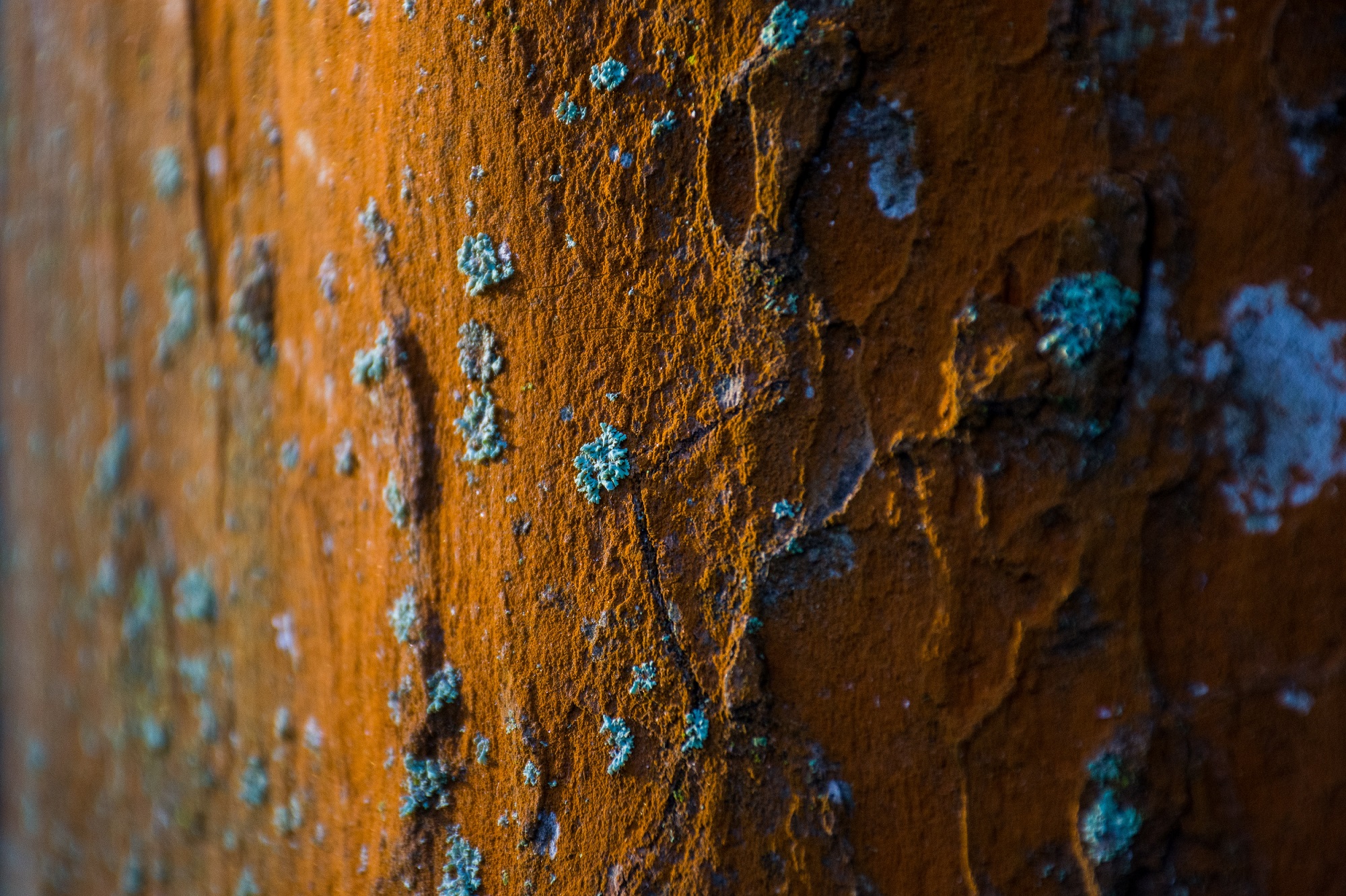 Rust, Tarnish, Oxidize